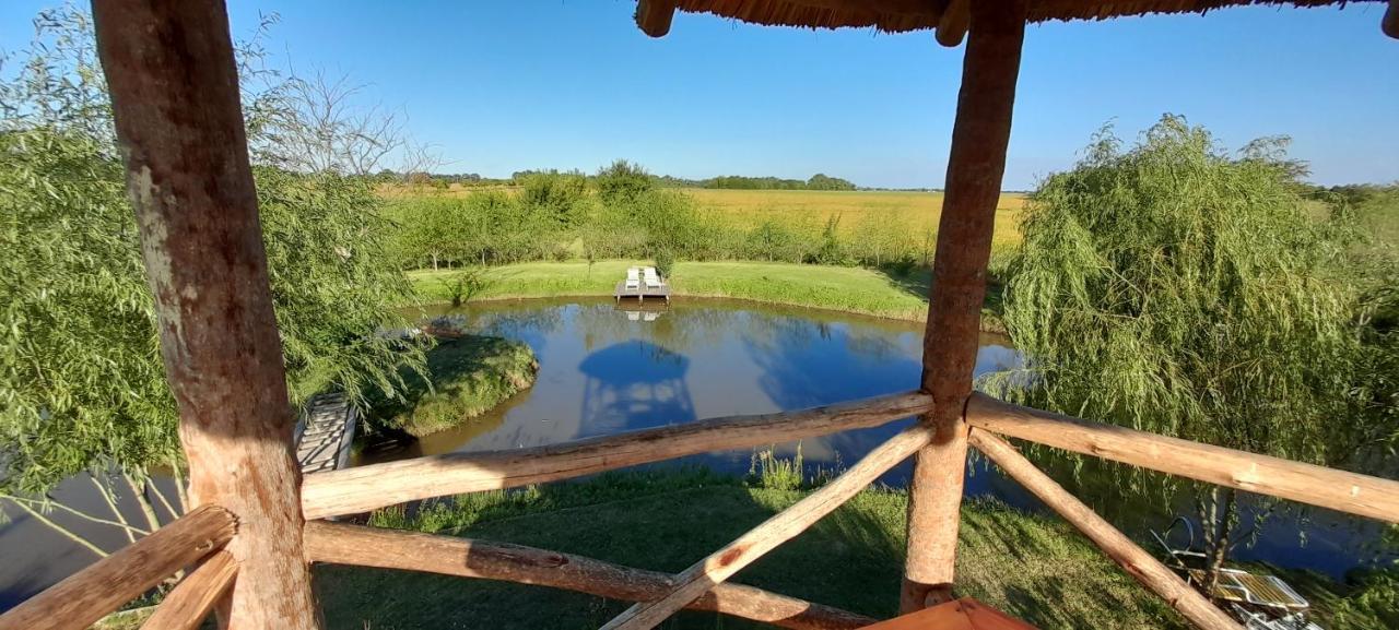 サン・アントニオ・デ・アレコ El Tramway Casa Antigua De Campo Bed & Breakfast エクステリア 写真